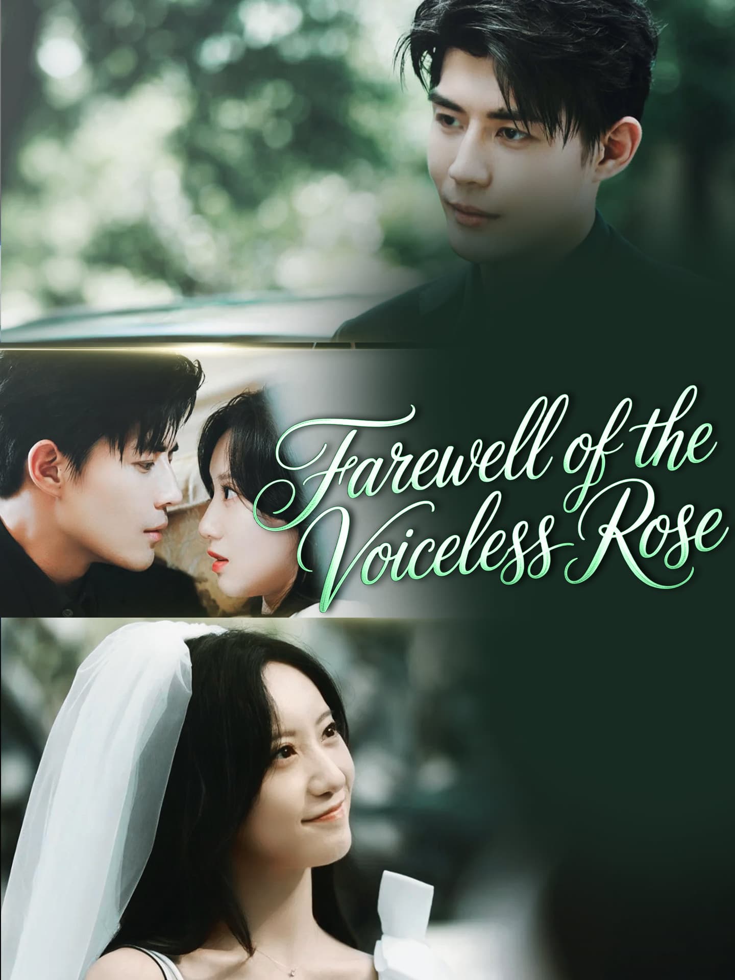 Farewell of the Voiceless Rose