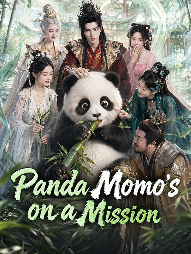 Panda Momo's on a Mission