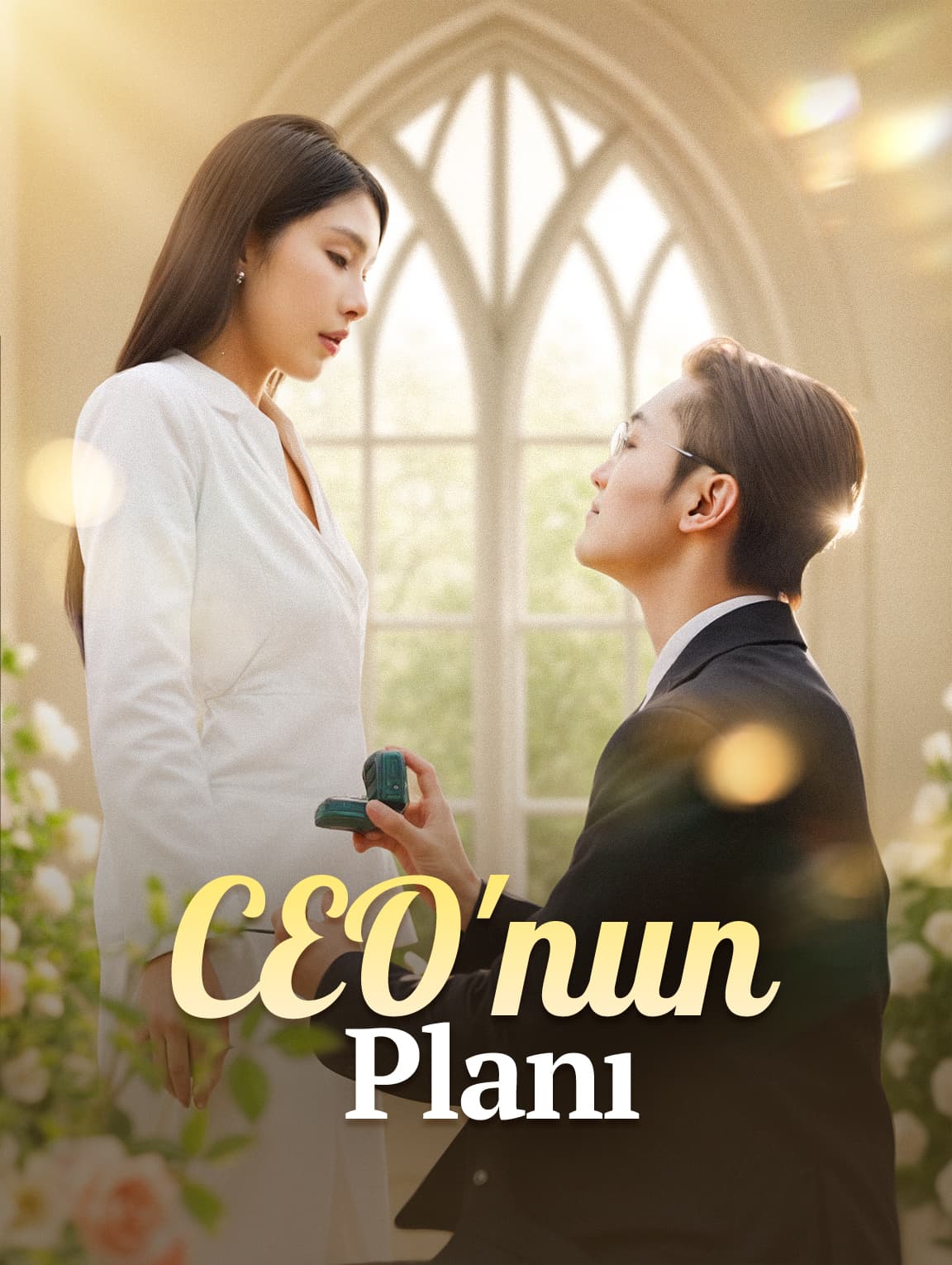 CEO'nun Planı