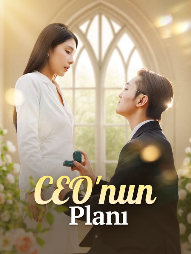 CEO'nun Planı
