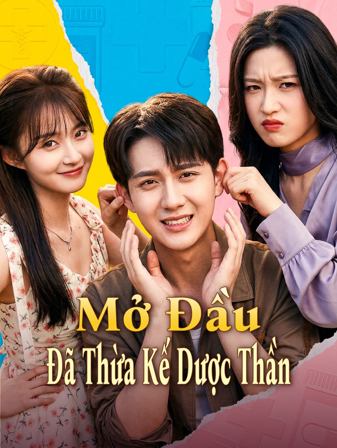 Mở Đầu Đã Thừa Kế Dược Thần