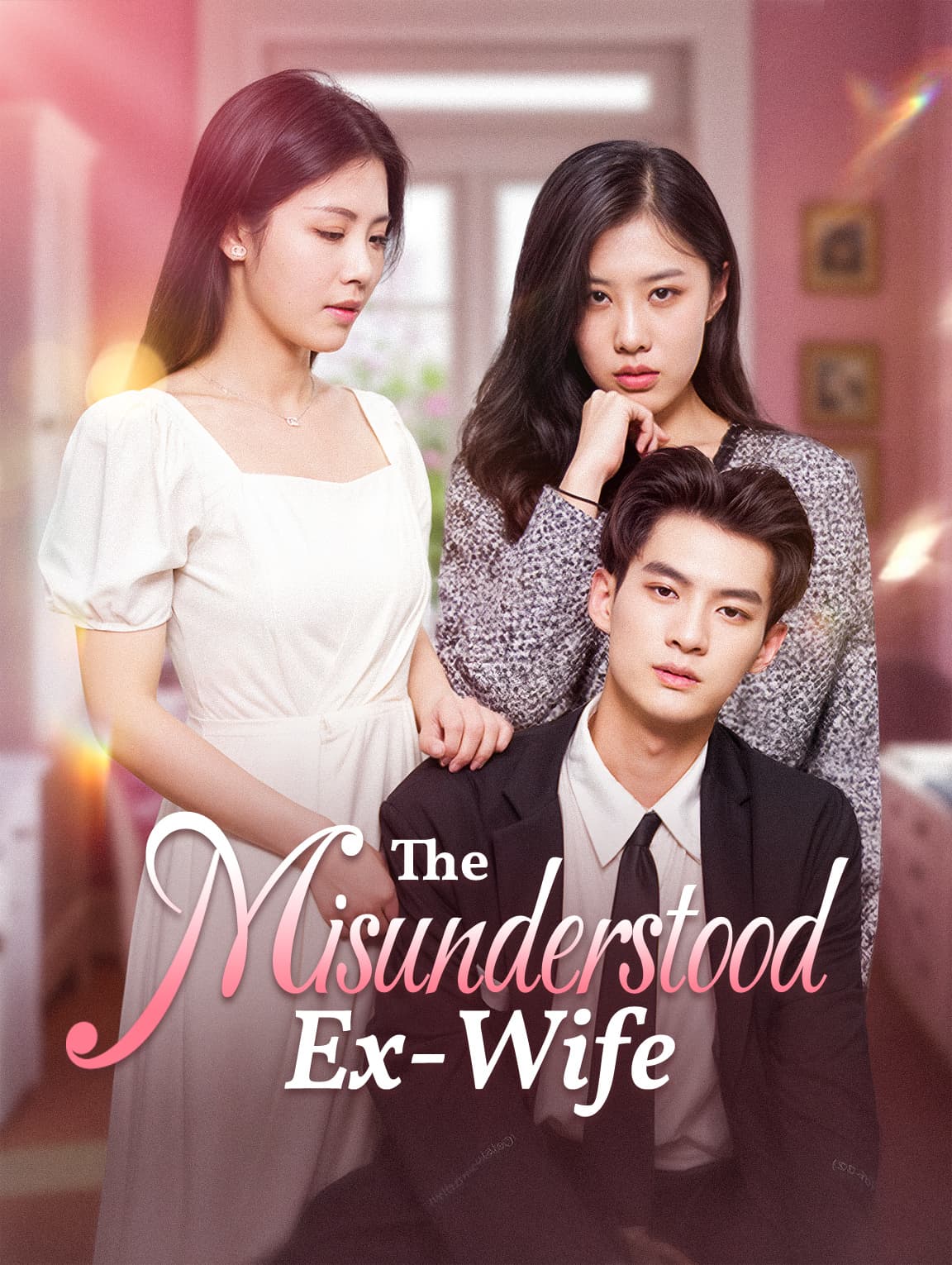 The Misunderstood Ex-Wife
