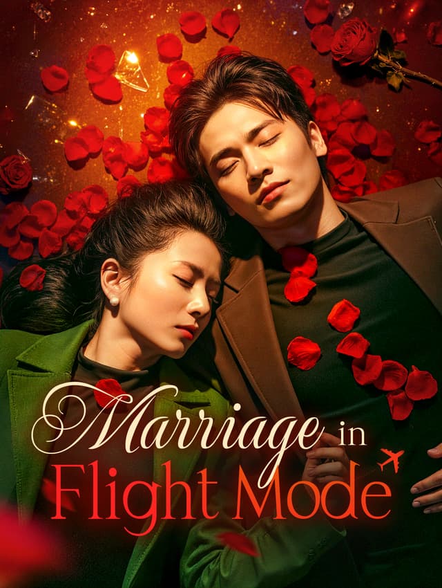 Marriage in Flight Mode