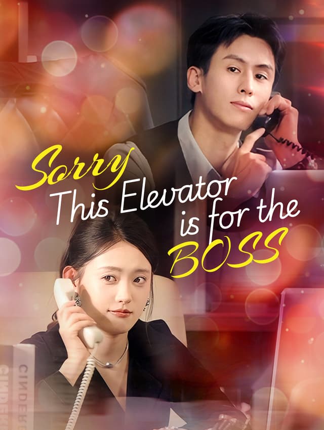 Sorry, This Elevator is for the Boss