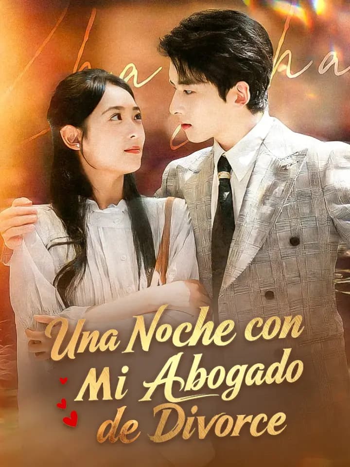 Una Noche con Mi Abogado de Divorcio