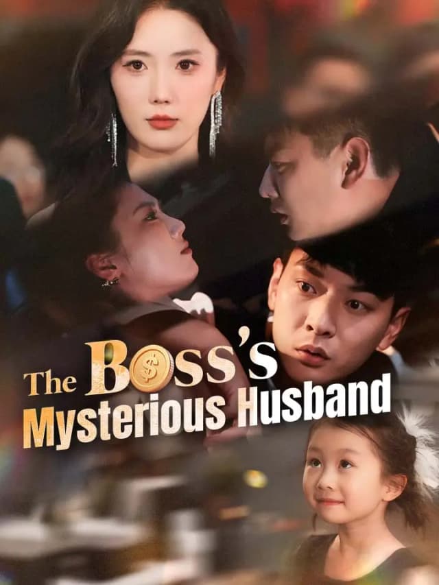 The Boss's Mysterious Husband