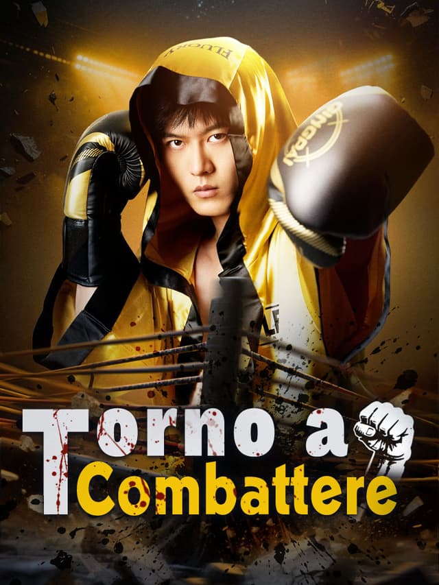 Torno a Combattere