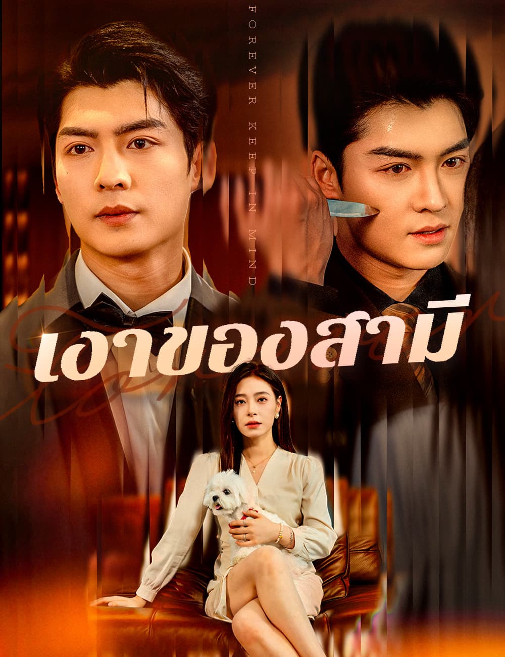 เงาของสามี