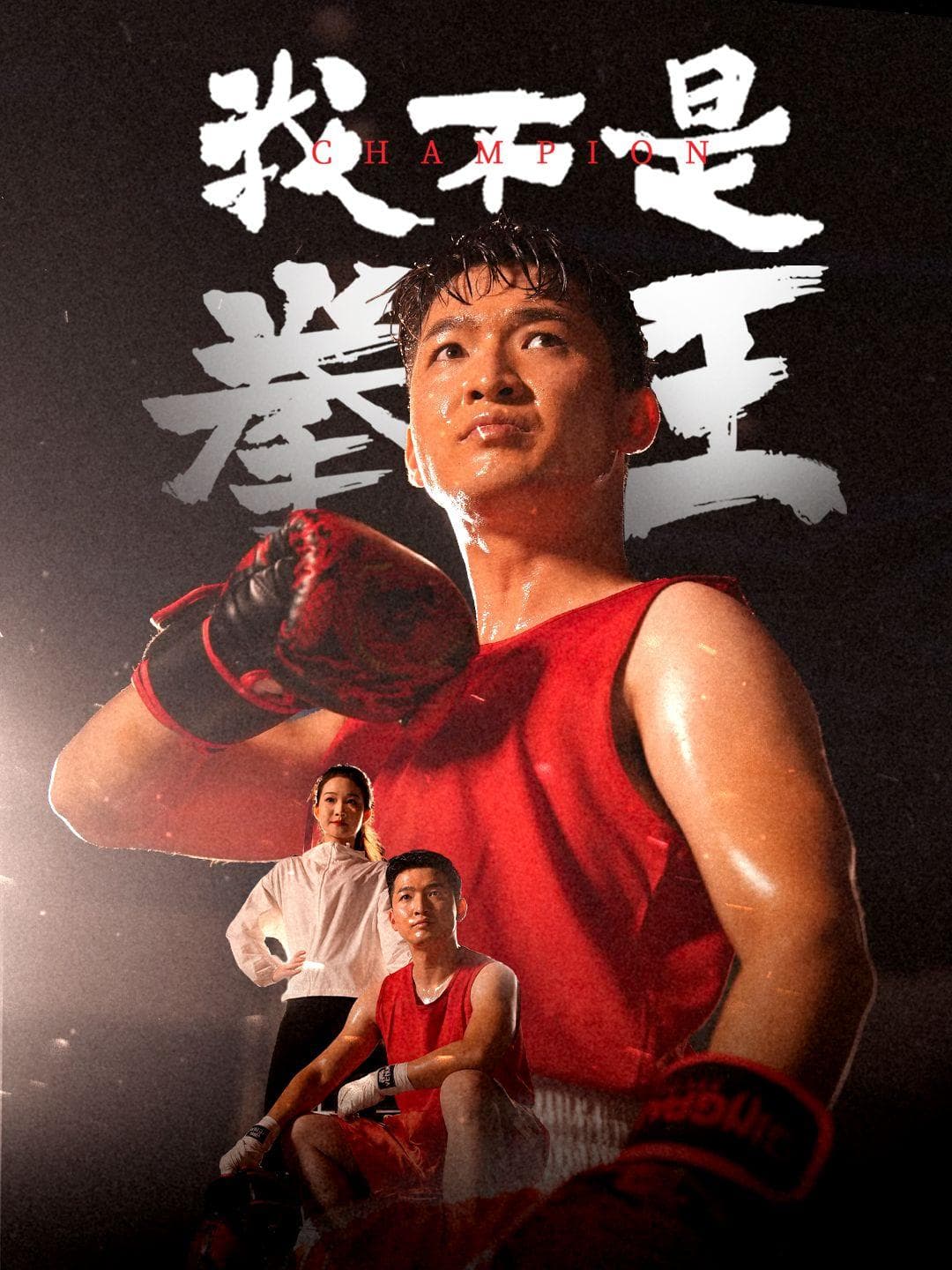 我不是拳王