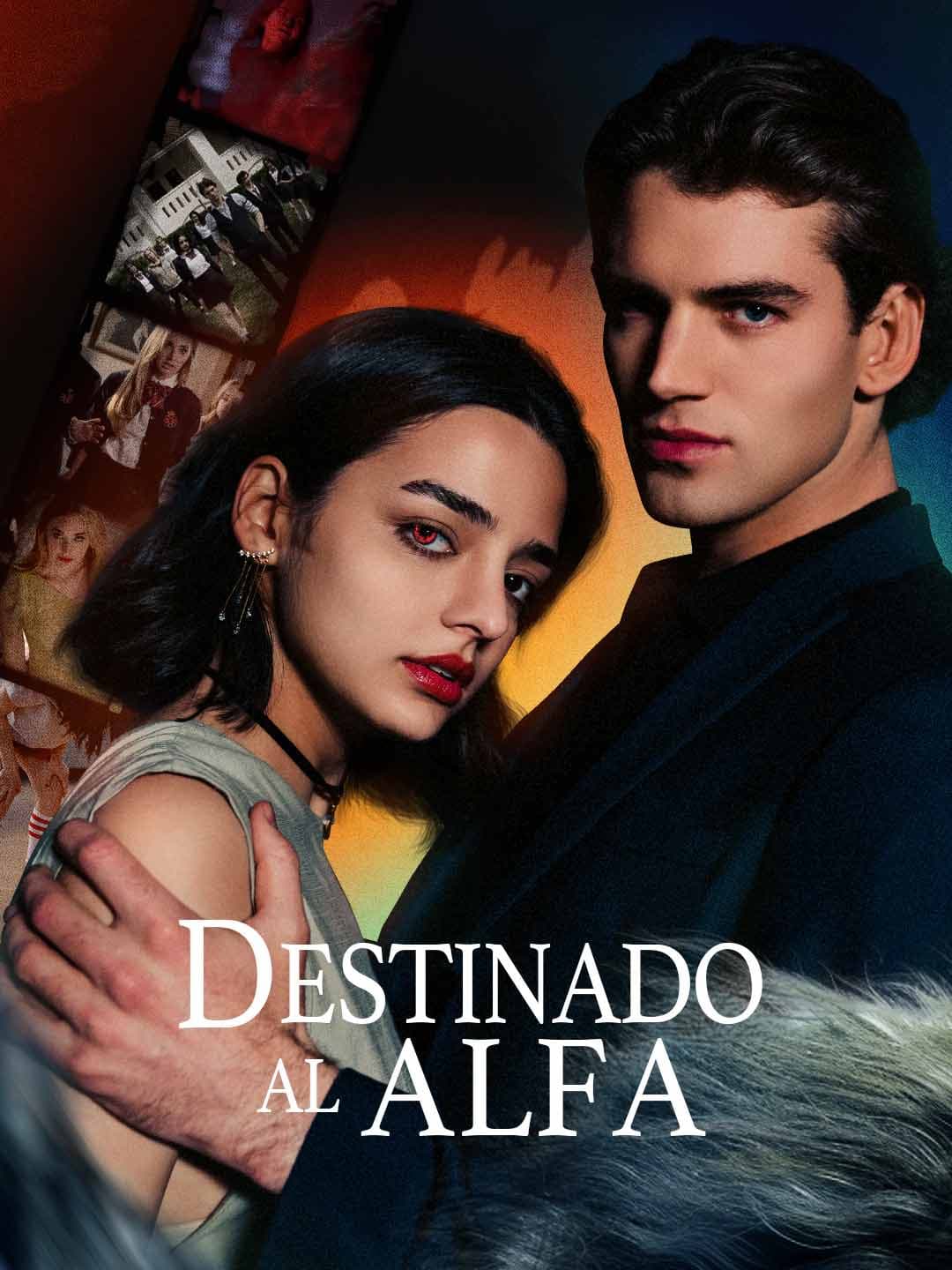 (Doblado)Destinado al Alfa